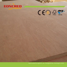 Precio promocional Nice Design of Veneer Plywood Door